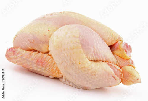 isolated chicken