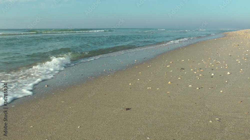 Inviting Carolina Beach Inviting Carolina Beach