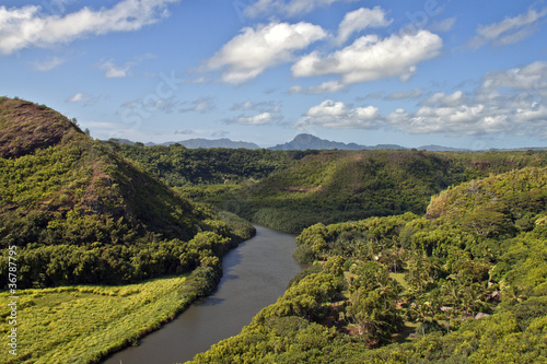 river and forest