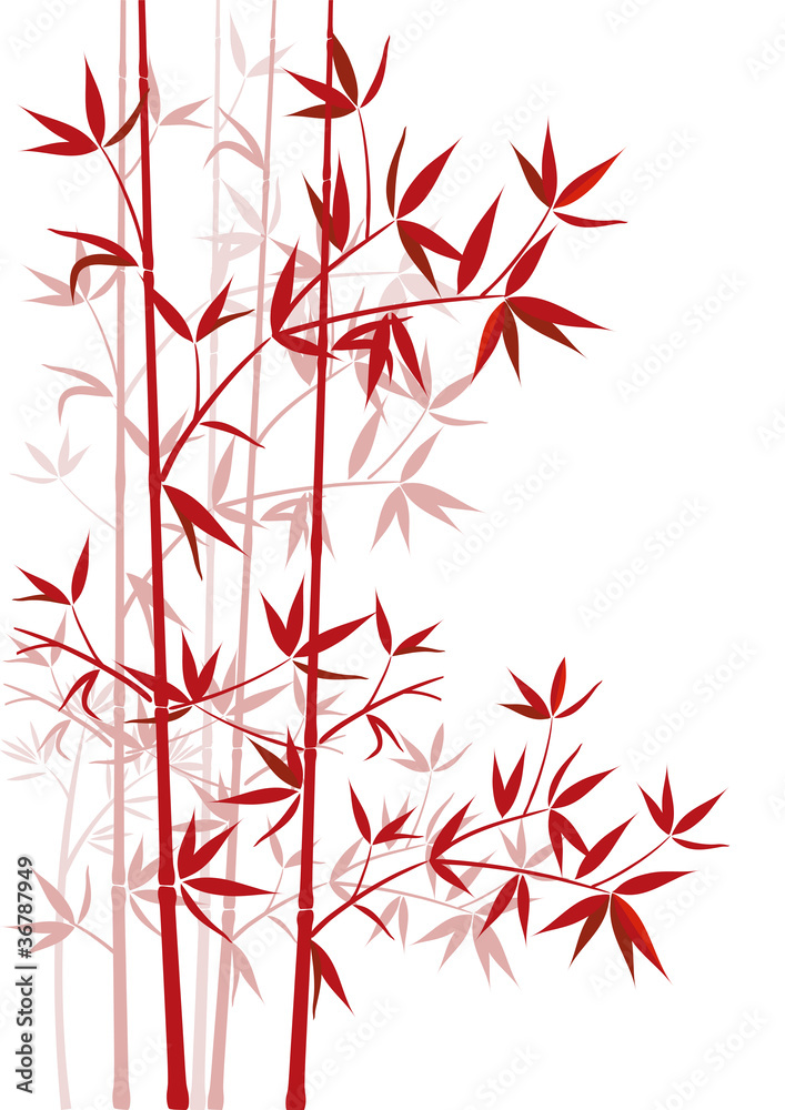 Naklejka premium Bambus rot
