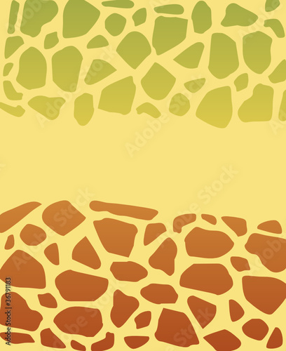 green and brown turtle skin texture