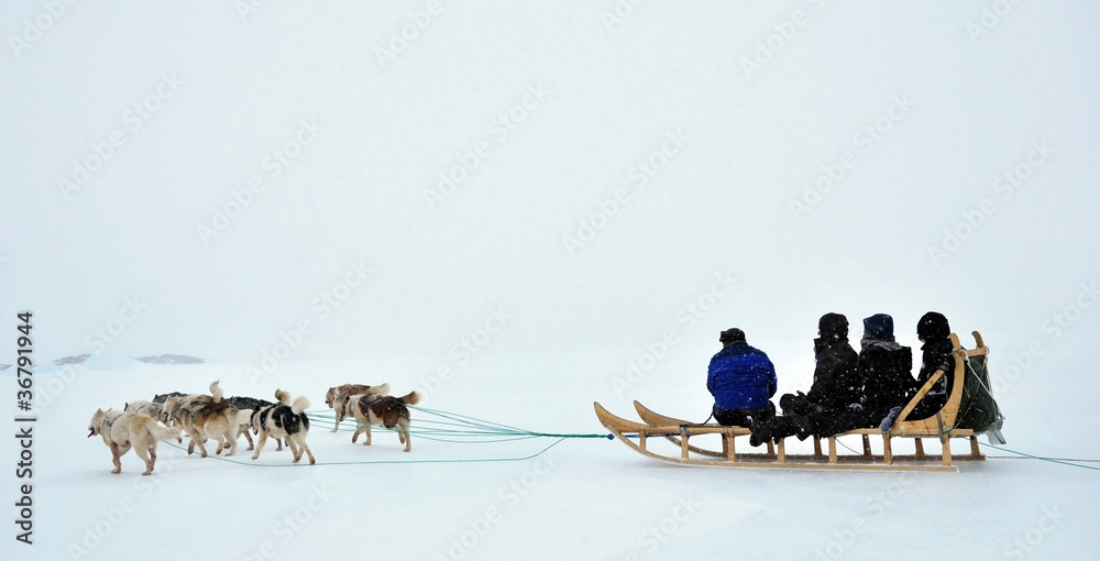 Dog sledging trip in cold snowy winter, Greenland - obrazy, fototapety, plakaty 