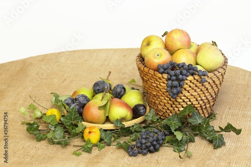 Harvest fruit