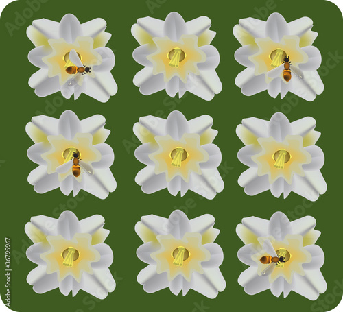 fiore