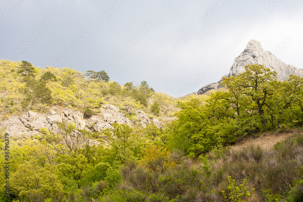 Crimean mountain