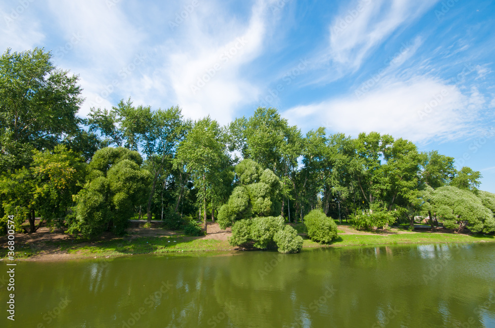 Peaceful scenic view of river landscape