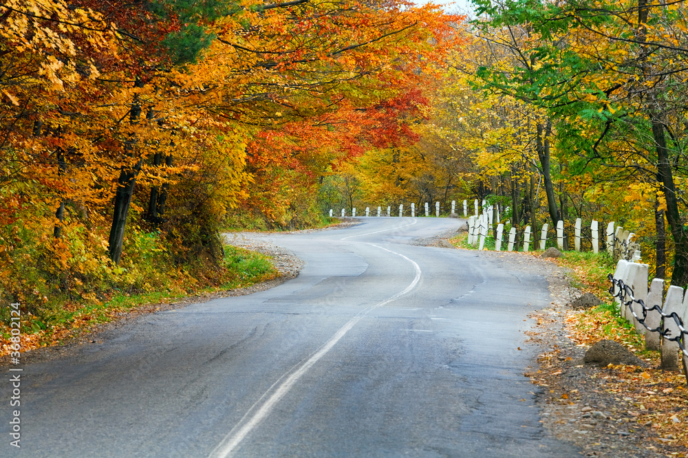 Autumn road in forest Autumn road in forest