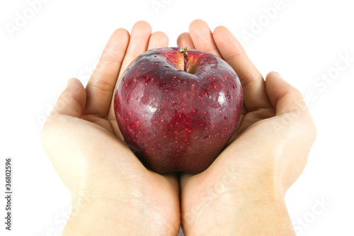 give red apple with hand
