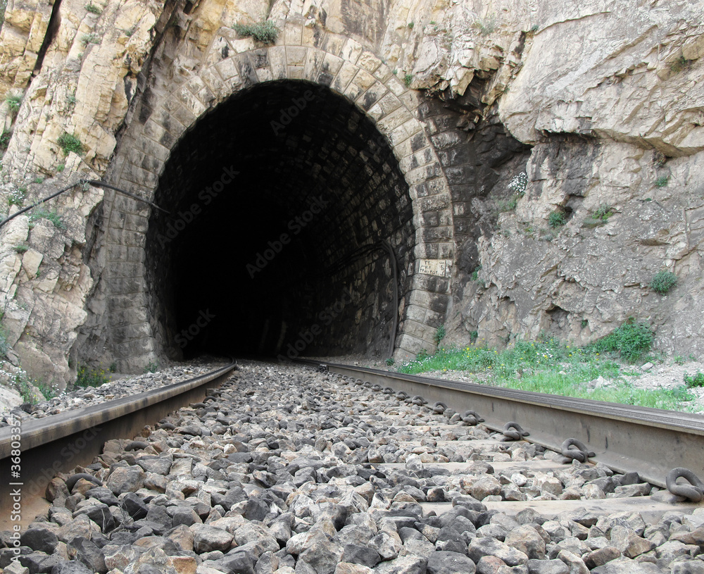 Naklejka premium Tunel kolejowy
