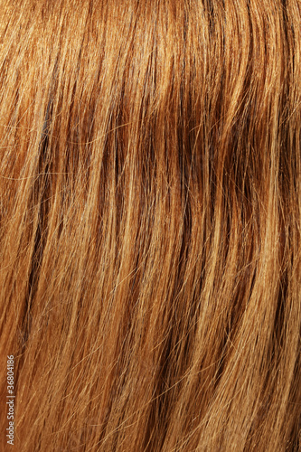 Brown hair detail