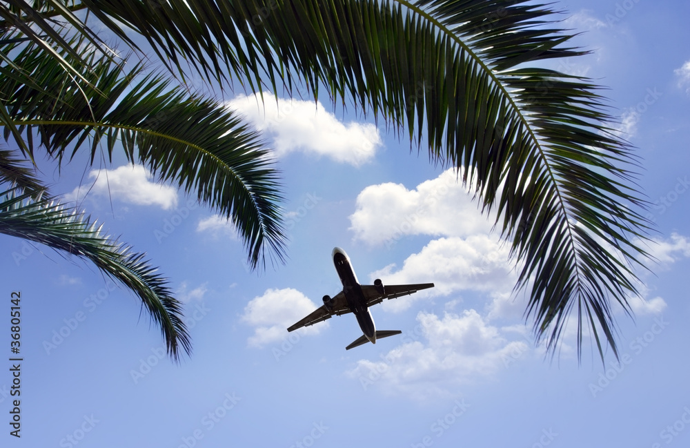 Fototapeta premium airplane flying over tropical palm trees