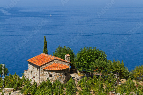 Weingut in der Toskana, Insel Elba © Blacky