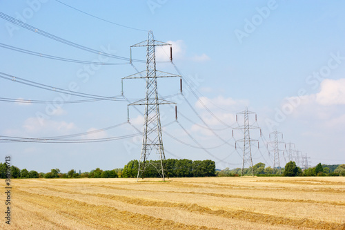 Canvas Print Electricity pylons in countryside