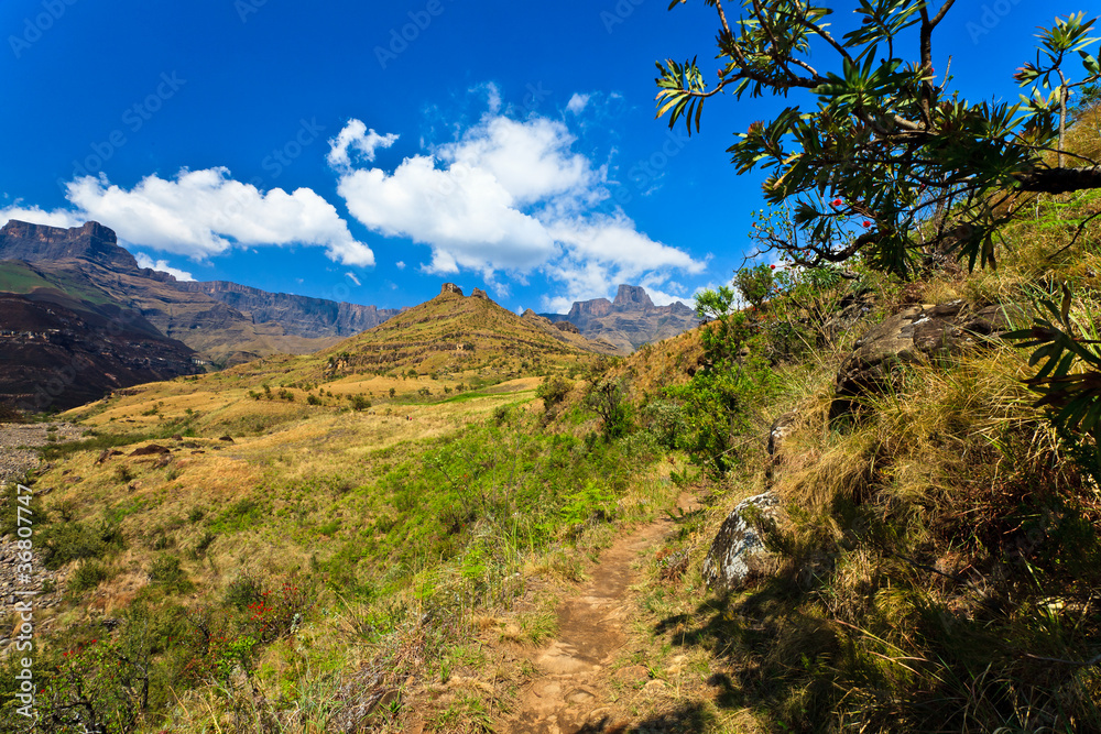 Mountain landscape  on a sunny day