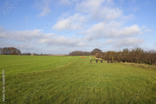 cross country equestrian course 2