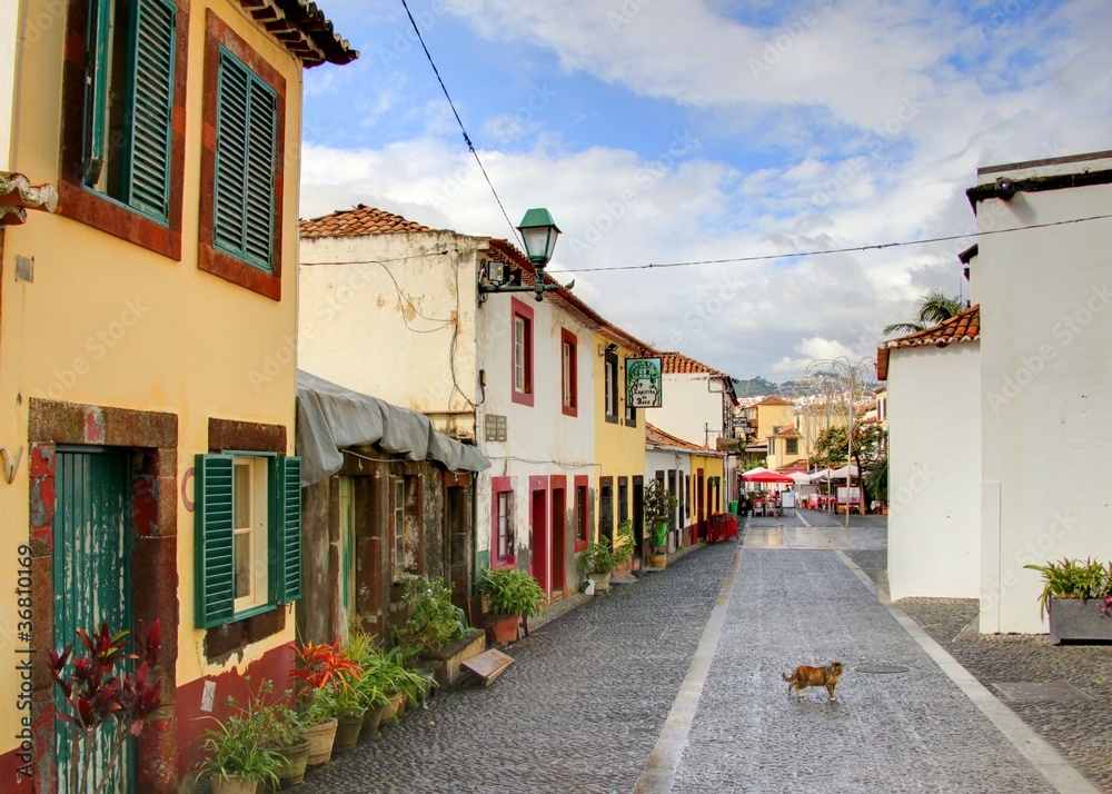 rue de funchal à madere