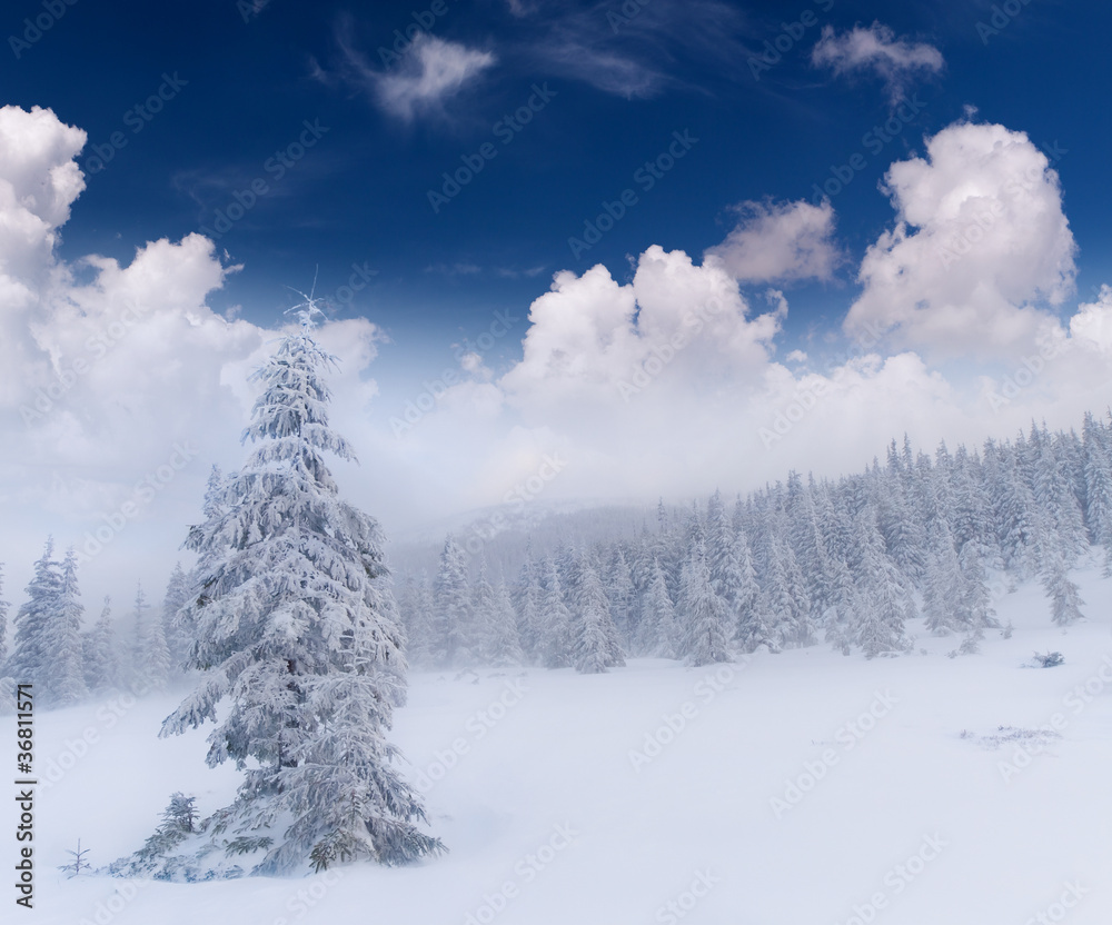 snowstorm in the  mountains