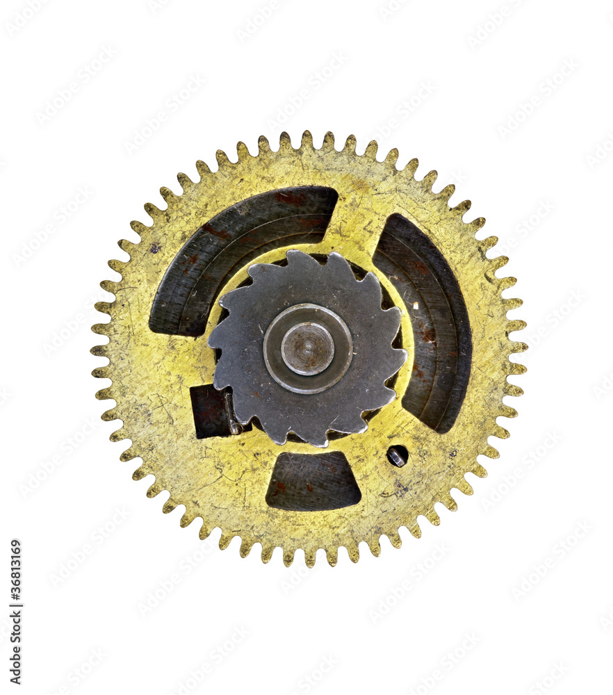cogwheel - gear - on white background cogwheel - gear - on white background