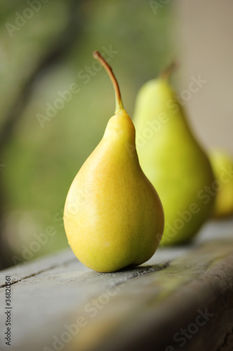 Village yellow pear