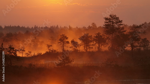 Landscape of Kakerdaja Bog  sunrise