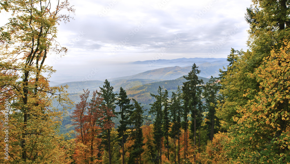 View into a valley