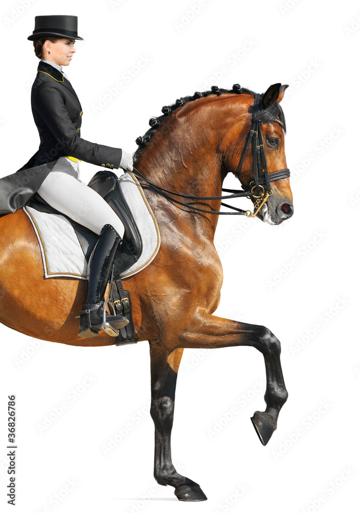 Obraz premium Equestrian sport - dressage