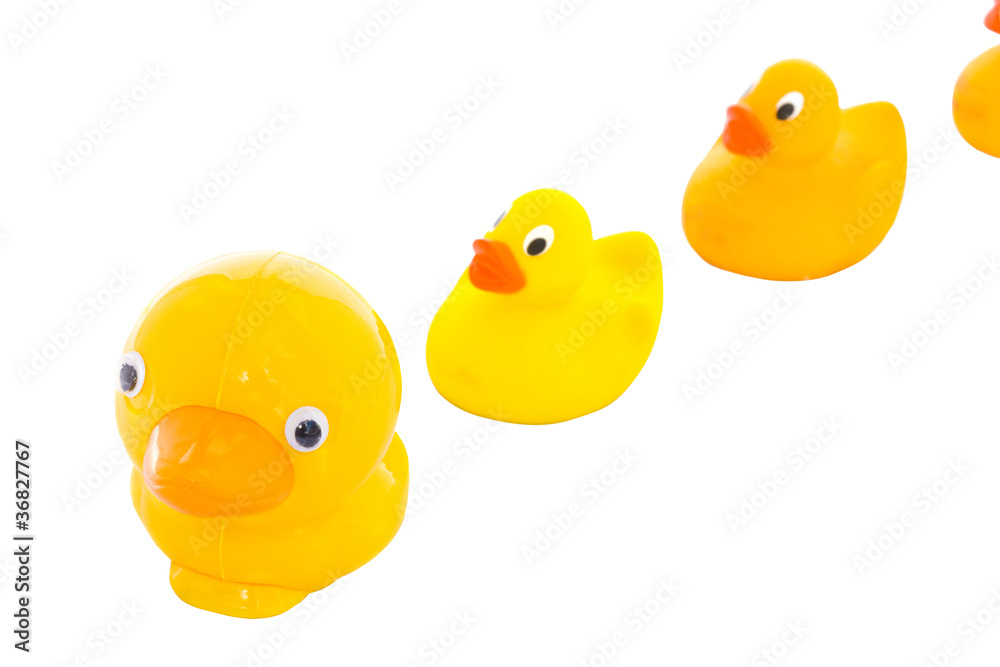 Toy duck family Toy duck family