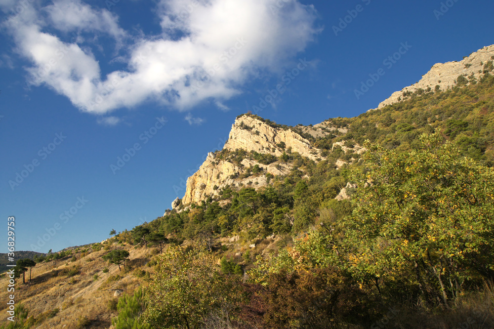 Vicinity of Cape Aiya. Crimea.
