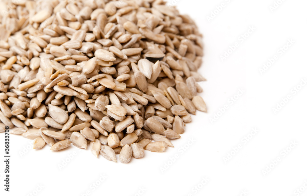 seeds seeds