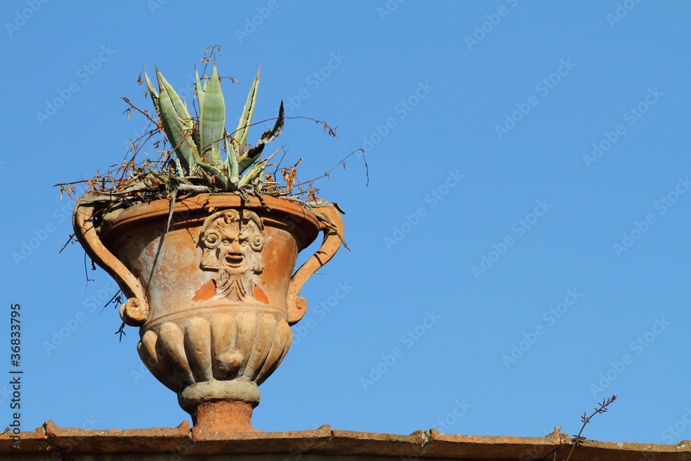 Obraz premium classic decorative flowerpot in terracotta