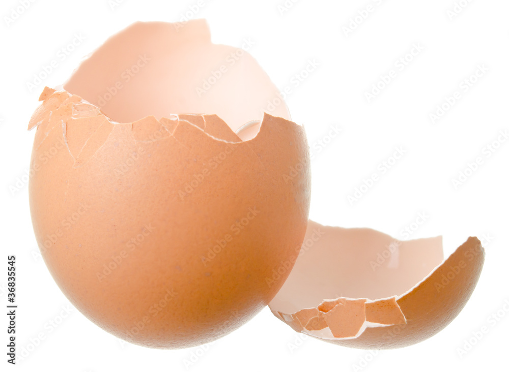 broken egg shell