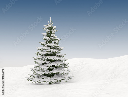 Christmas tree and snow