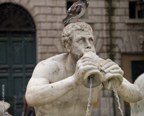 Detalle fuente de neptuno, Plaza Navona, Roma