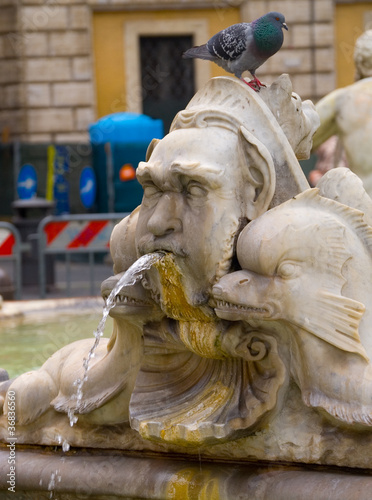 Detalle fuente de Neptuno, Plaza Navona, Roma photo