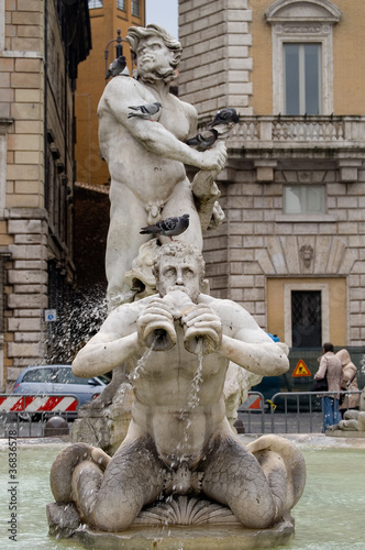 Fuente Neptuno en la  Plaza Navona, Roma photo