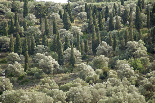 Tal im Süden von Kreta