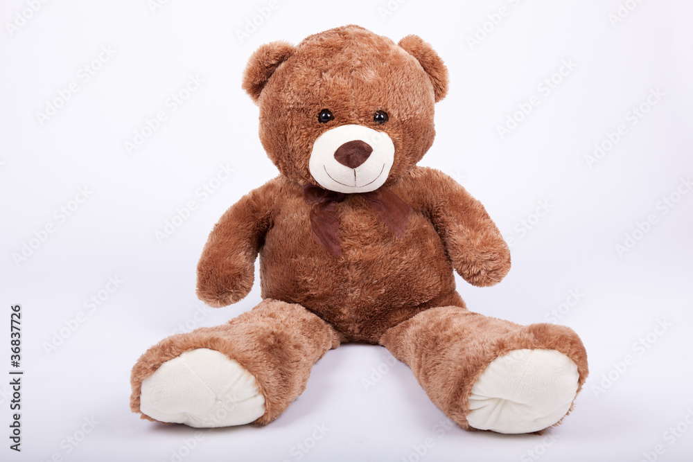 Obraz premium Seated teddy bear