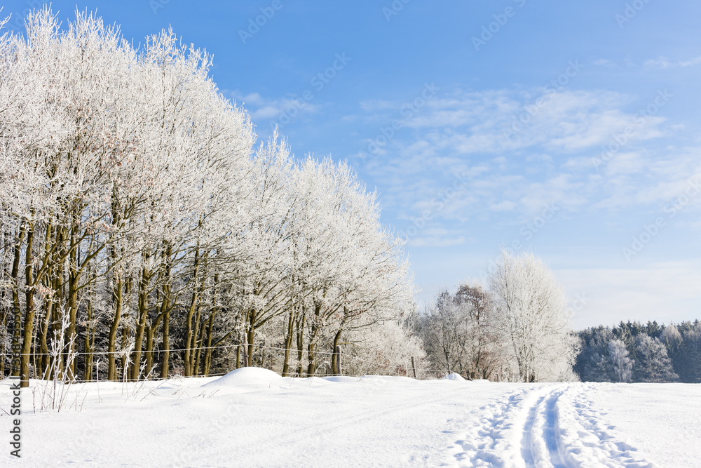 winter landscape, Czech Republic