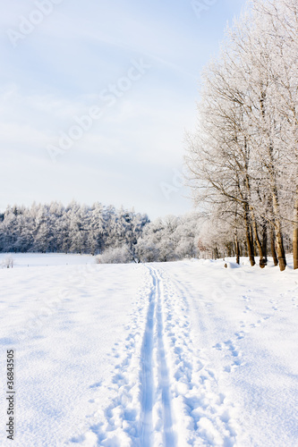 winter landscape, Czech Republic © Richard Semik
