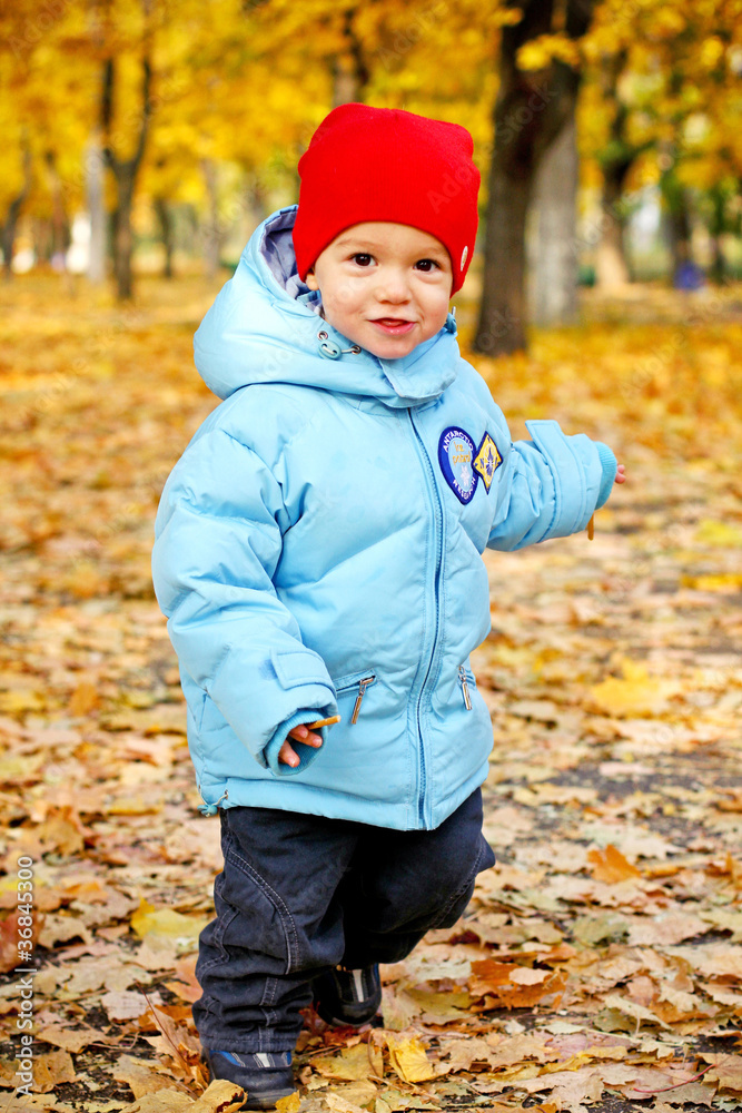 Little boy in autumn park