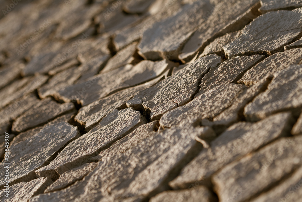Cracked lifeless soil Cracked lifeless soil