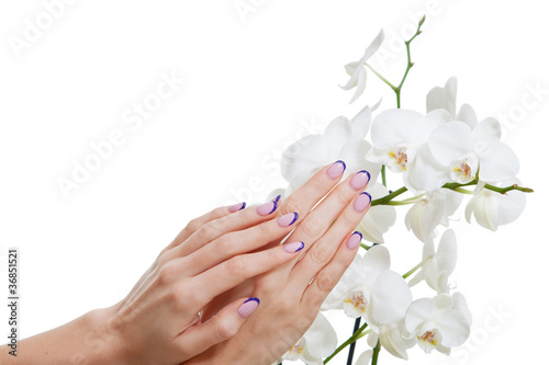 Beautiful manicure and white orchid flower