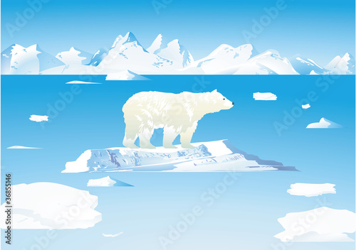 Eisbär und Eisbären