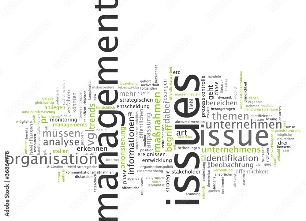 Issue Management Issue Management