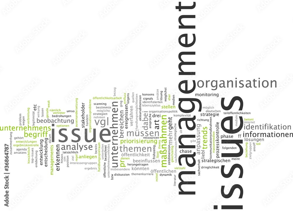 Issue Management Issue Management