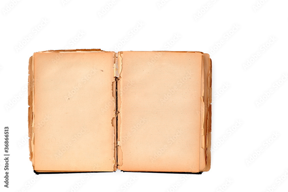 Fototapeta premium Old damaged book on white