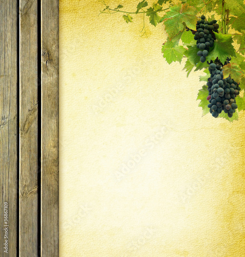 grapevine border and grapes