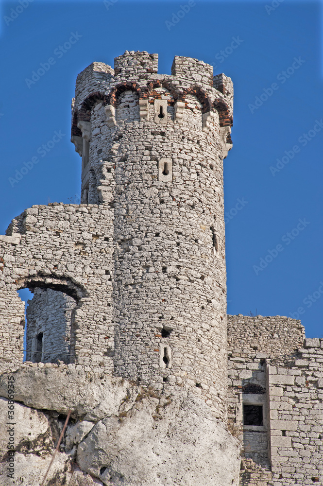 Old castle tower