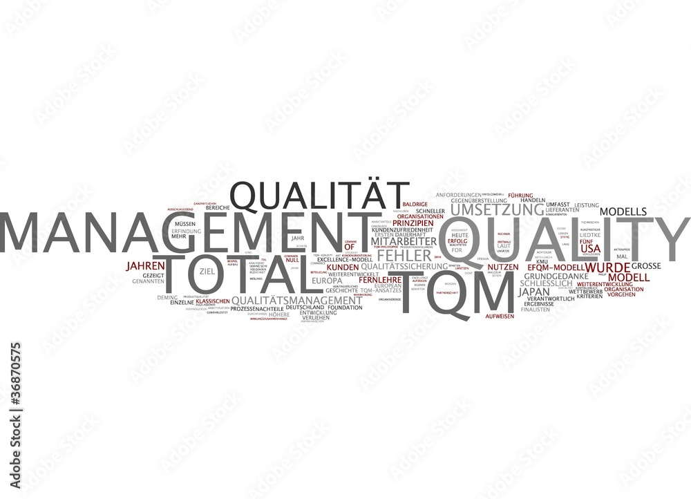 TQM Total-Quality-Management