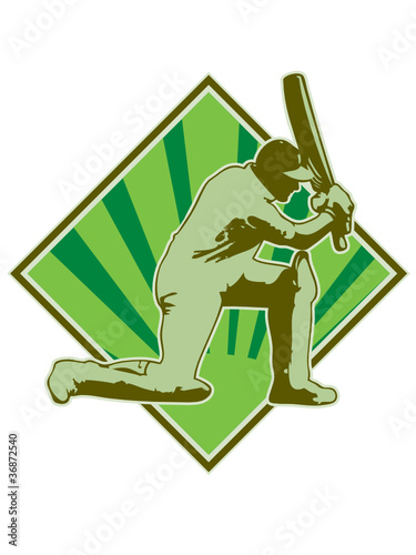 cricket sports batsman batting retro